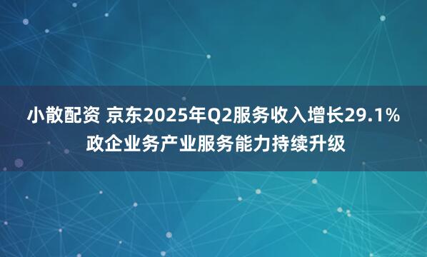 小散配资 京东2025年Q2服务收入增长29.1% 政企业务产业服务能力持续升级