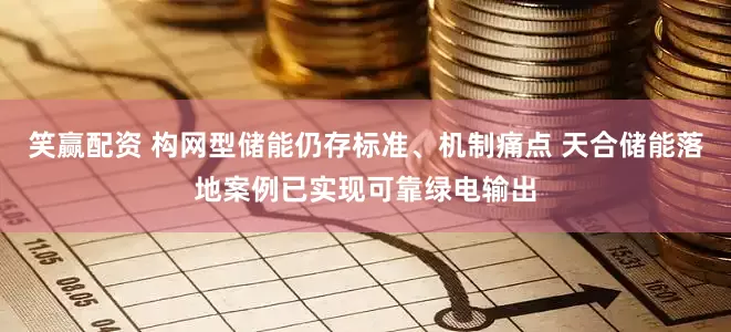 笑赢配资 构网型储能仍存标准、机制痛点 天合储能落地案例已实现可靠绿电输出